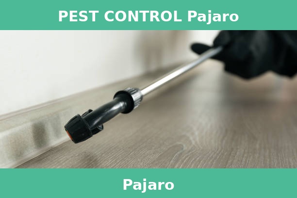 PEST CONTROL Pajaro